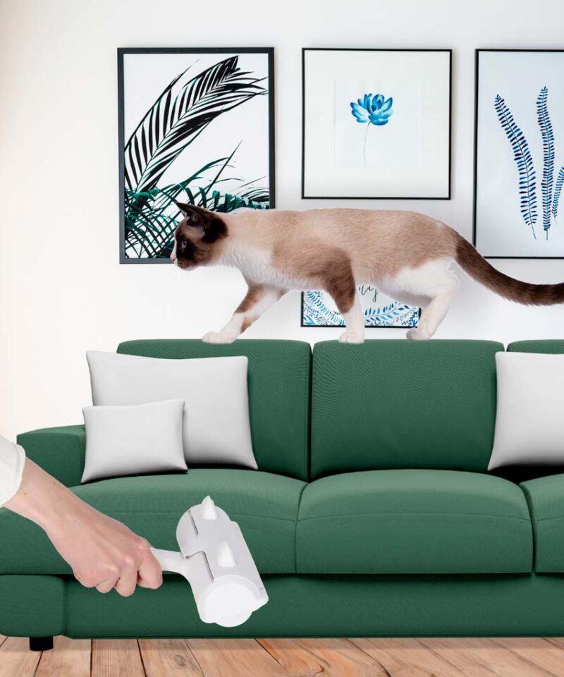 Karvaeemaldushari reisile ja koju