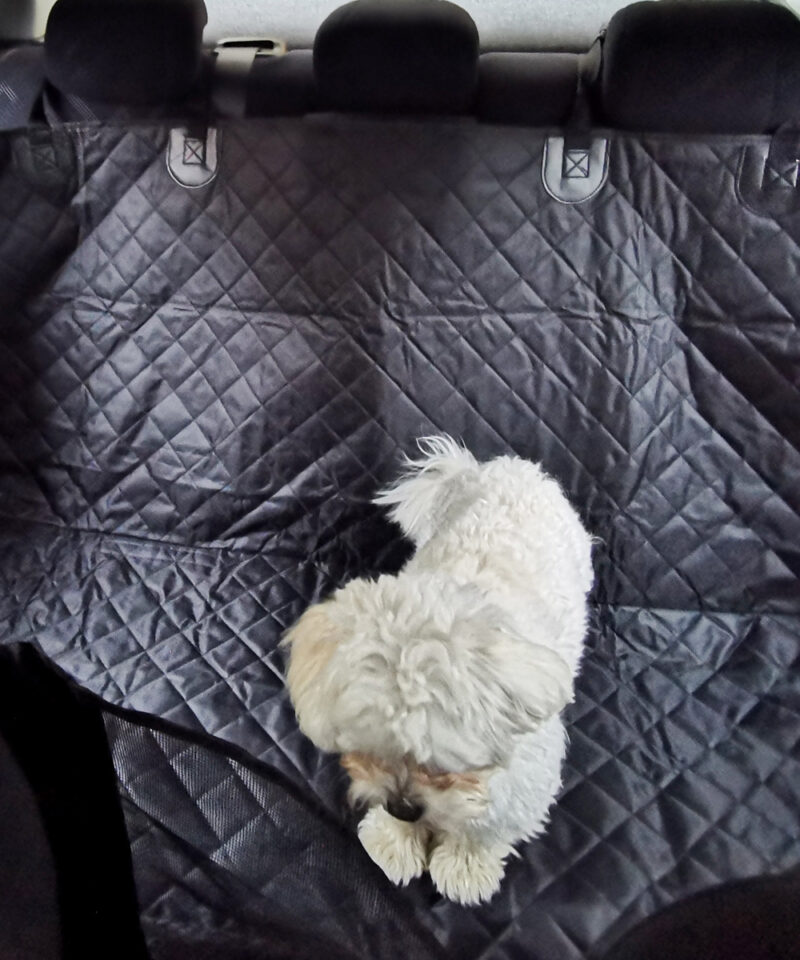 Universaalne istmekate enamikele autodele