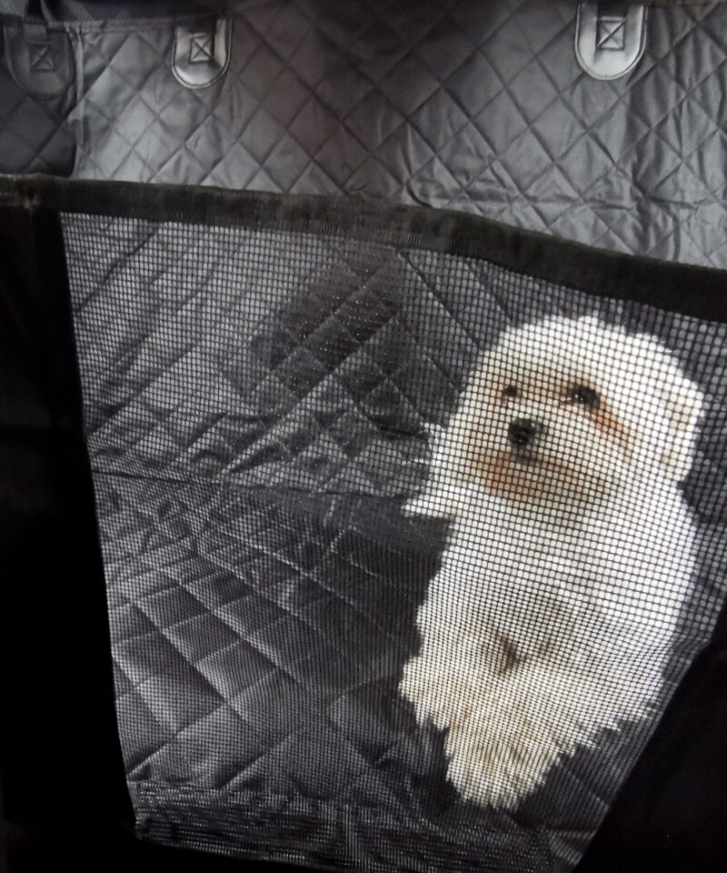 Universaalne istmekate enamikele autodele