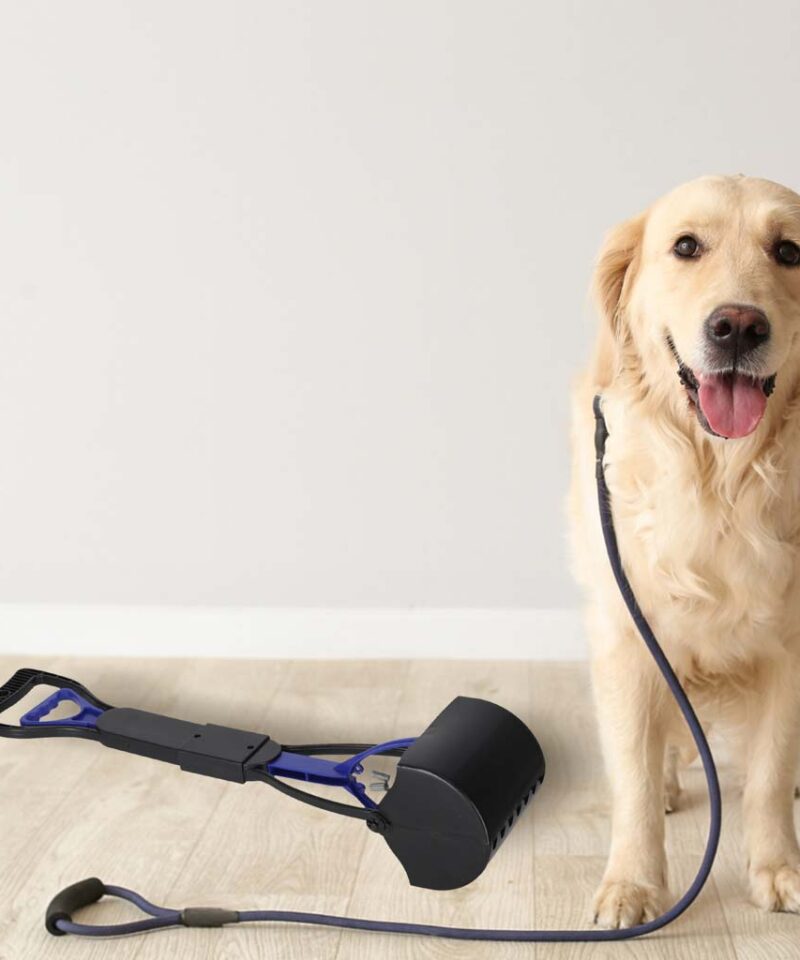 Mugav kühvel koeraomanikule