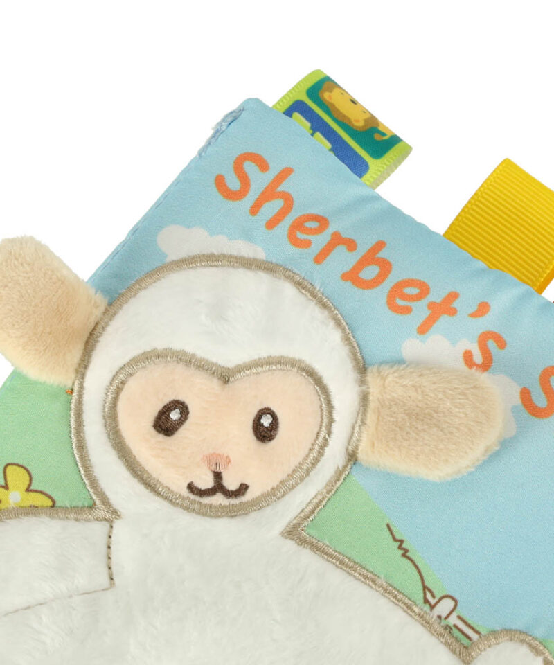 Kompaktne ja kerge katsuraamat