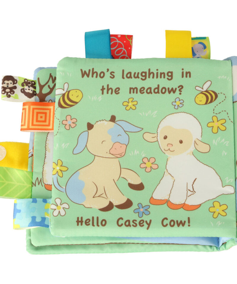 Kompaktne ja kerge katsuraamat