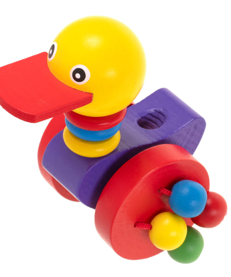 Värviline puidust jalutuskäru mänguasi lastele