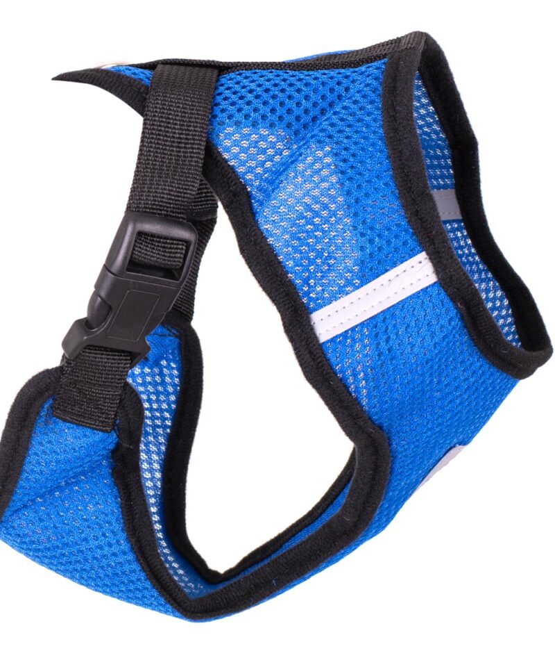 Musta äärisega vastupidavad rakmed