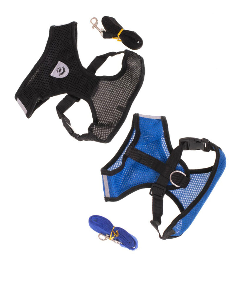 Jalutusrihm mugavateks jalutuskäikudeks