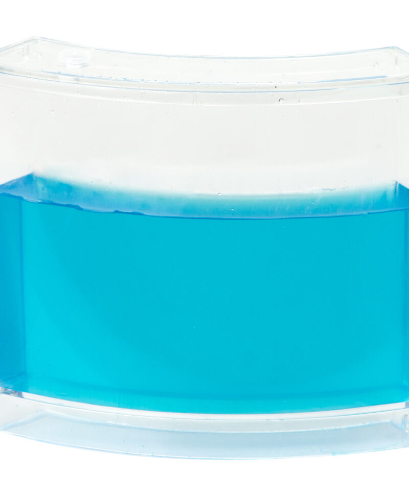 Sipelgate vaatlemine hariva geelakvaariumiga