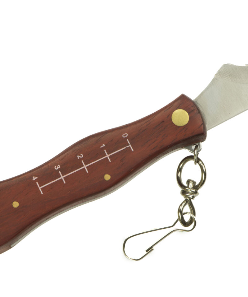 Praktiline seenenuga taskusse