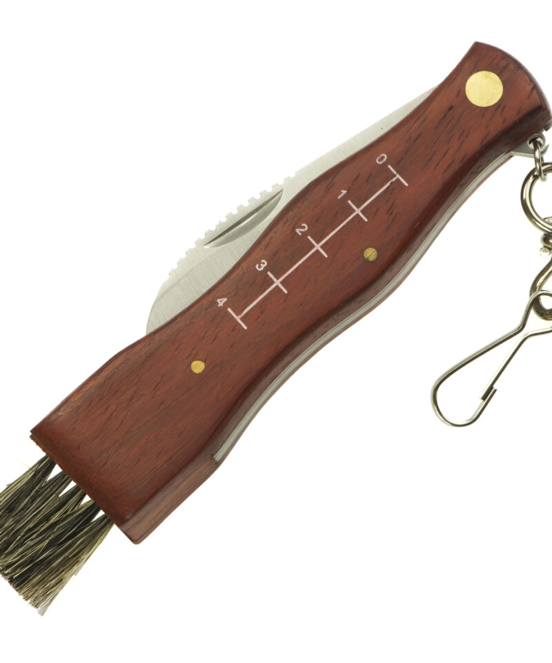 Kompaktne nuga seene puhastamiseks