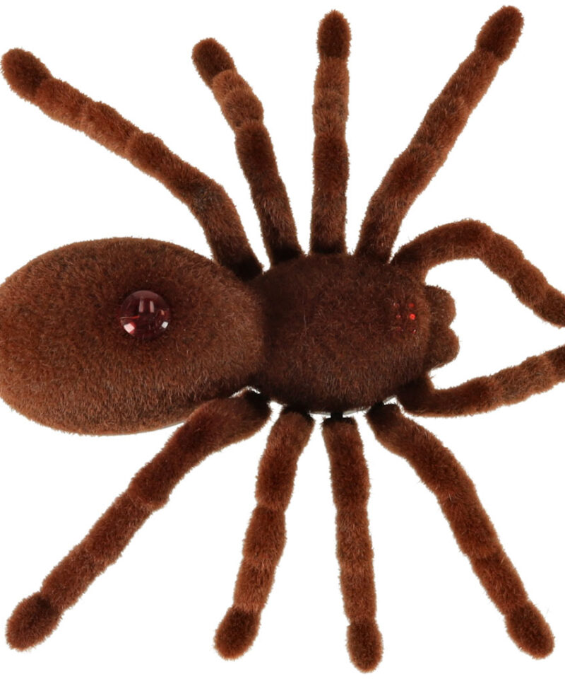 Kaugjuhtimispuldiga ämblik