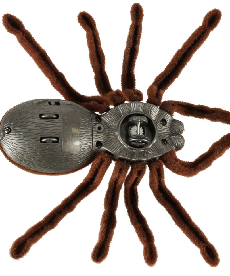 Helendavate silmadega tarantula
