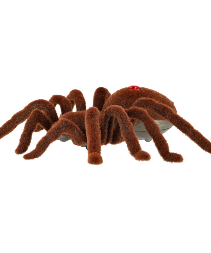 Karvane tarantula mänguasi