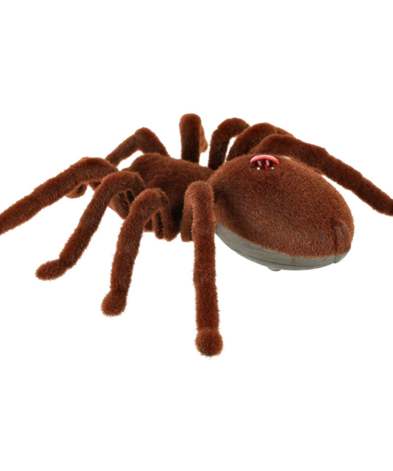 Lastele alates 8. eluaastast