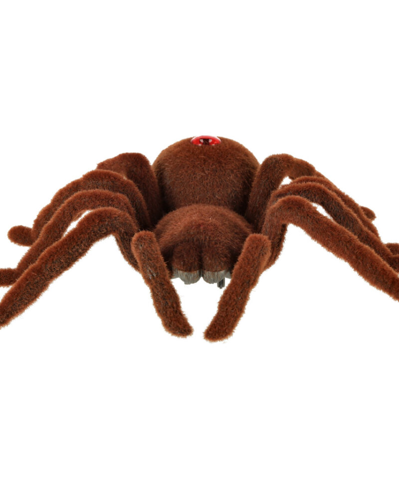 Lastele alates 8. eluaastast