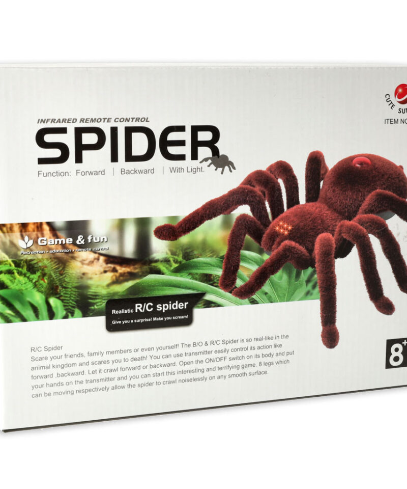 Lastele alates 8. eluaastast