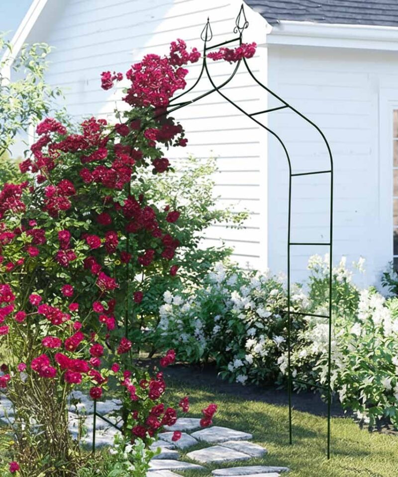 Pergola koos kinnitusdetailidega