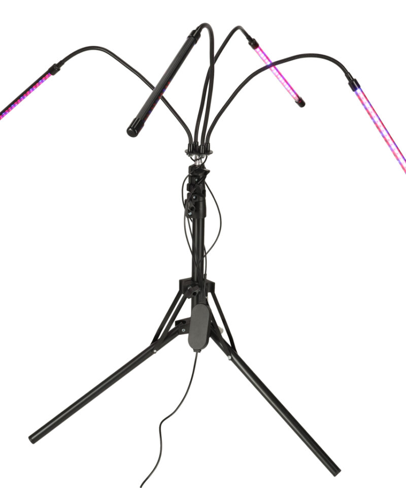 Kolmevärviline LED lamp taimede kasvuks