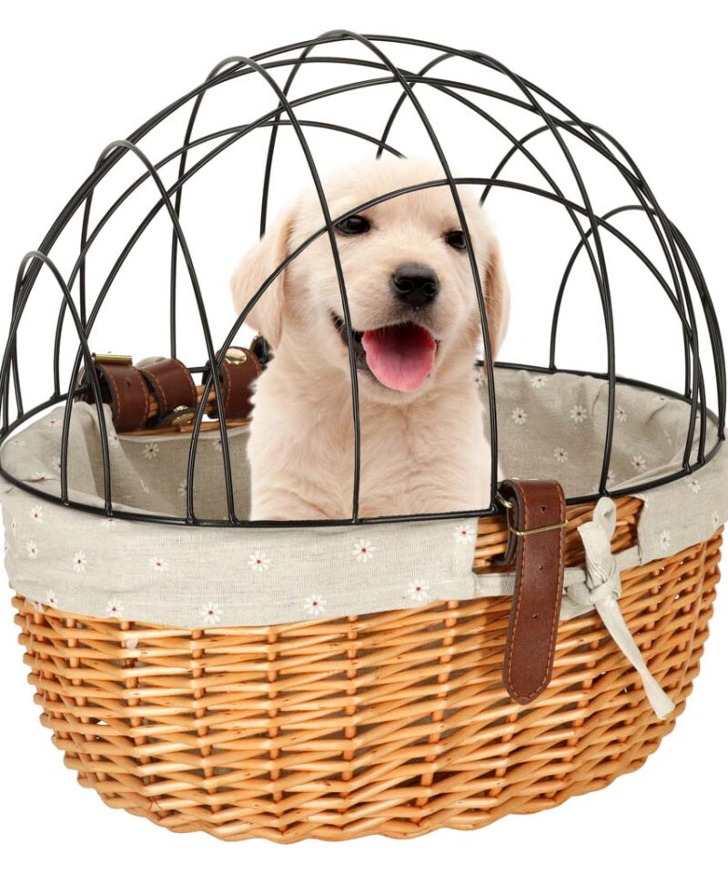 Stiilne korv väikeste lemmikute jaoks