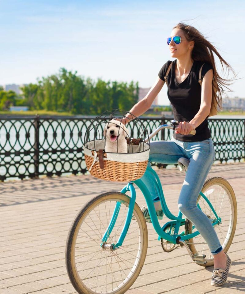 Stiilne korv väikeste lemmikute jaoks