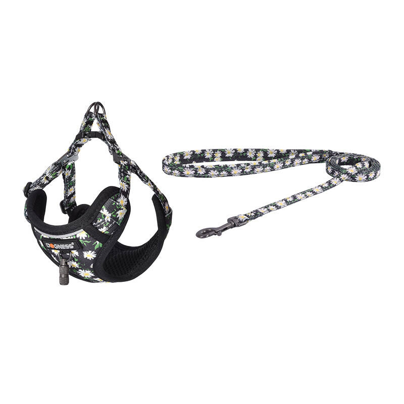 Dog set Dogness harness and leash (Daisy Black)
