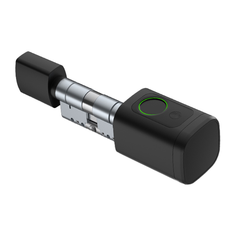 Avatto SDL-V1-B60 60mm Black digital lock cylinder
